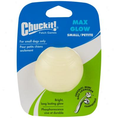 Chhckit! Max Glow Ball Dog Toy