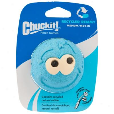 Chuckit! Recycled Remmy Dog Toy