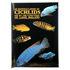 Cichlids & All The Other Fishes Of Lake Malawi By Ad Konig