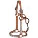 Cicrle Y Silber Show Halter With Lead