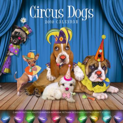 Circus Dogs 2010 Wall Calendar