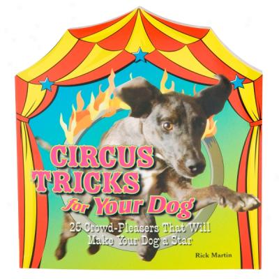 Circus Tricks For Your Dog: 25 Crowd-pleaqers That Will Make Your Dot A Heavenly body