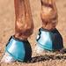 Classic Equine No-turn Bell Boot