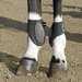 Clasic Equine Waxed Leather Fetlock Boots