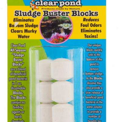 Clear Pond Sludge Buster Blocks