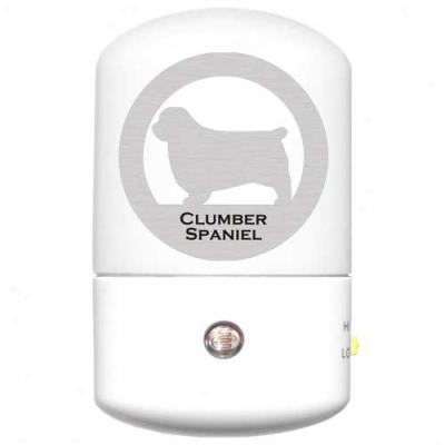 Clumber Spaniel Led Night Light