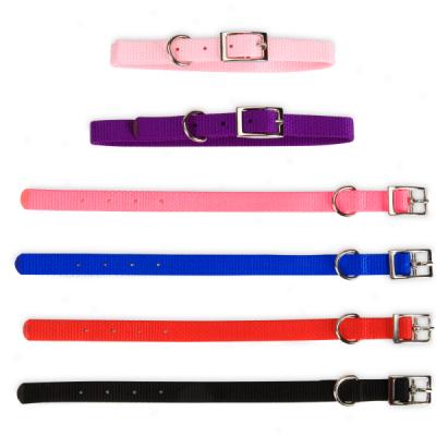 Coastal Pet Products Nylon Puppy Collars