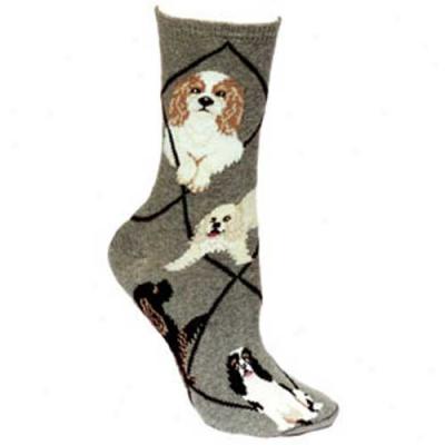 Cocker Slaniel Socks, Medium