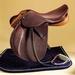 Collegiate Undergraduate Chestnut Brown Saddle With Self-padded Flap