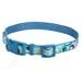Colorful Canvas Dog Collar With Crazy Dots
