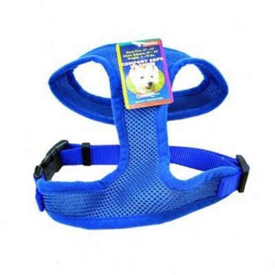 Comfort Soft Harness Three Eighths Inch Blue For Dgos 5-7lbs