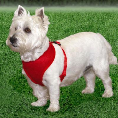Comfort Soft Harness Thdee Eighths Inch Red For Dogs 5-7lbs