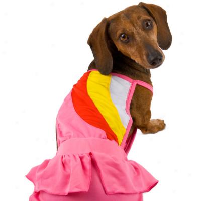 Companion Road? Redness Curve Dog Swimsuit