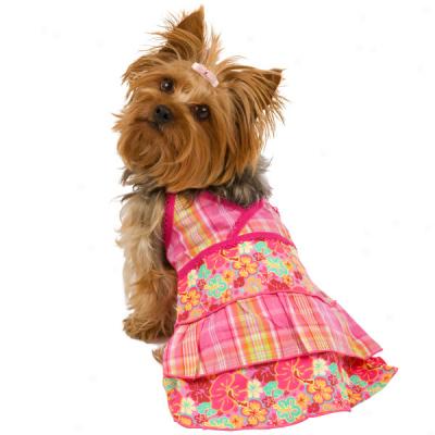 Comrade Road? Hibiscus Plaid Dog Dress