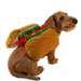 Companion Road Hot Dog Costume