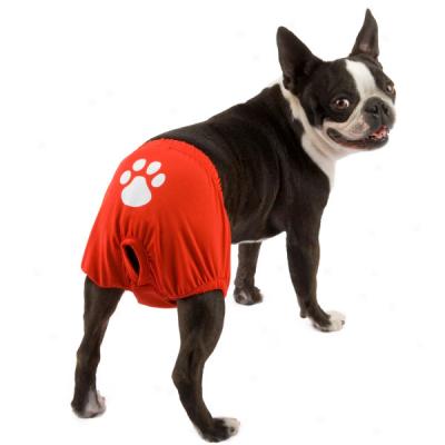 Companion Road? Pawprint Dog Swimwear