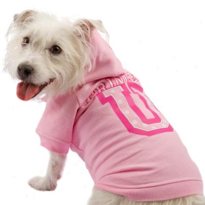 Companion Road? Princess University Dog Hoodie