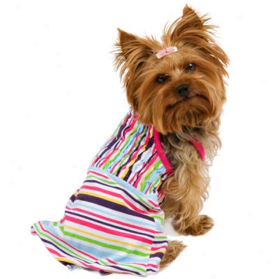 Companion Road? Striped Smocked Dog Dress