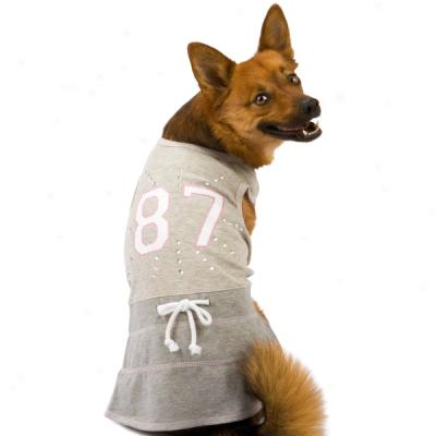 Companion Road? Sweet & Sporty Dog Dress