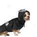 Companion Road® Dog-ula Costume