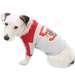 Companion Road® Football Jersey Dog Shirt