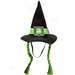 Companion Road® Witch Hat With Braids For Dogs