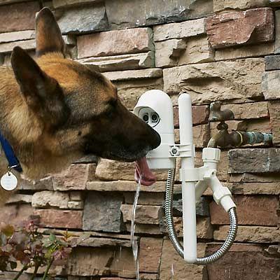 Contech Water Dog - Motion Activated Outdoor Pet Fountain
