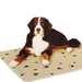 Cool Bedtm For Dogs