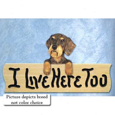 Dachshund I Livr Here Too Oak Finish Sign Wirehair Black And Tan