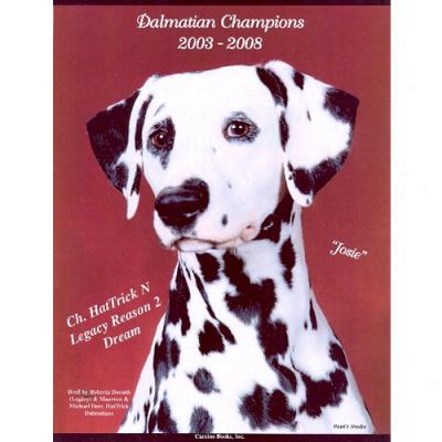 Dalmation Champions 2003-2008