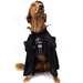 Darth Vader Dog Costume