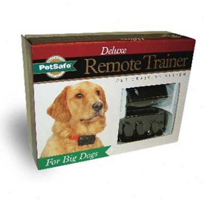 Delux Big Dog Remote Trainer