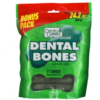 Dentagrren Value Pack