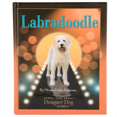 Designer Dog Serkes - Labradoodle