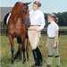 Devon-aire Concour Elite Pull-on Cotton Breeches For Children