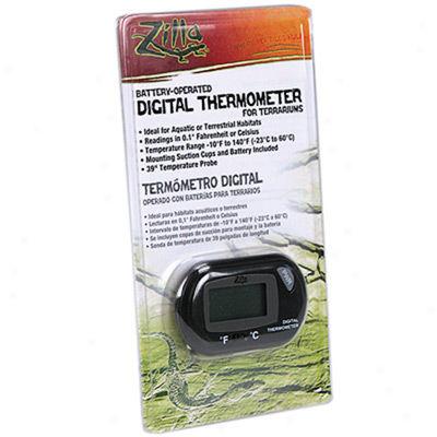 Digital Thermometer For Terrariums