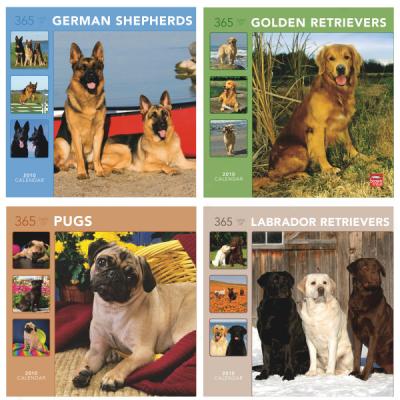 Dog Breed 2010 Wall Calendars