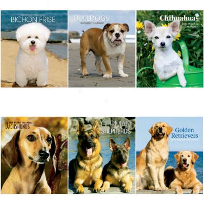 Dog Breed 2010 Weekly Planners