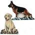 Dog Breed Magnets