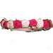 Dog Collar With Rosettes