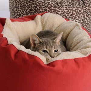 Dog Gone Smart Cat Bed Leopard (ss)