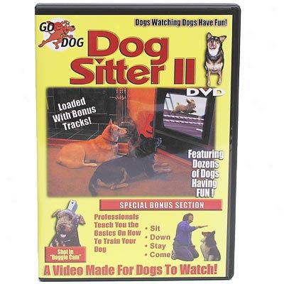 Dog Sitter Ii Dvd