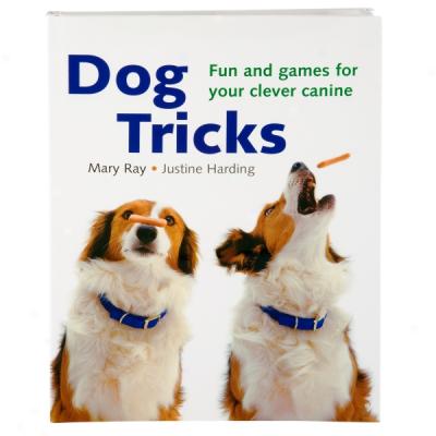 Dog Tricks: Fun And Games For Your Clever Canine