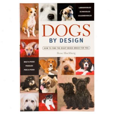 Dogs By Design: How To Find The Right Mixed Breed For You