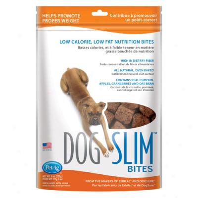 Dogslim Low Calorie Nutritional Bites 8oz