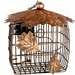 Double Suet Feeder