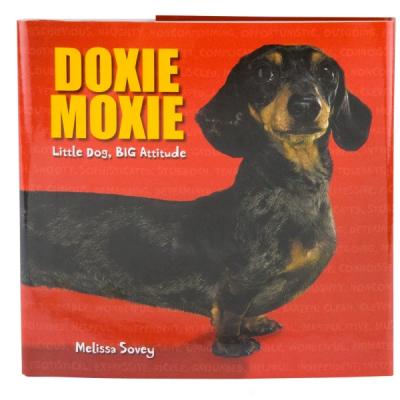 Doxie Moxe