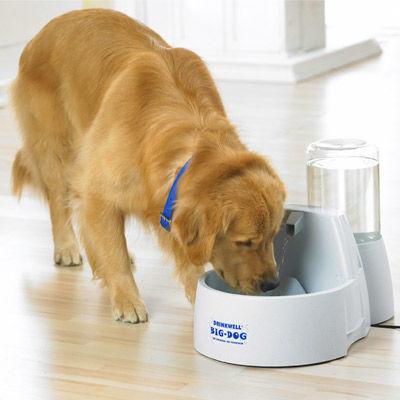 Drinkwell Big-dog Water Fountain