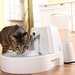 Drinkwell Fresh Water Fountain Foor Cats Or Small Dogs