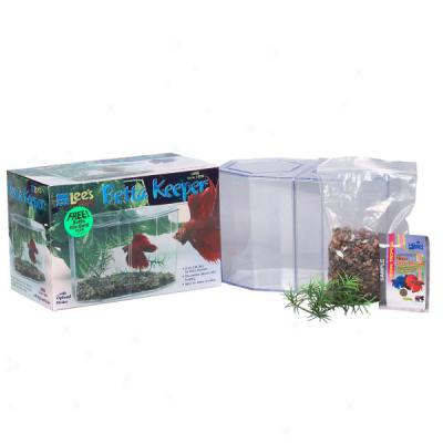 Dual Betta Hex With Gravel And Plant By Lee's